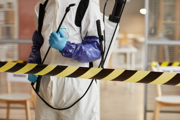 Professional Sewage Cleanup technician working in Cedar Island, NC